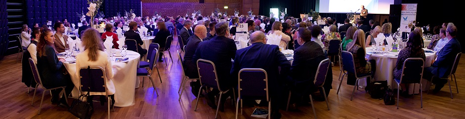 Chamber Business Awards 2019 Sponsors page banner image